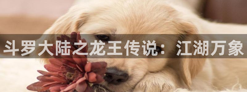 看韩漫的网站免费：斗罗大陆之龙王传说：江湖万象